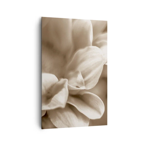 Tablou pe pânză - Blânde ca un zâmbet - 80x120 cm