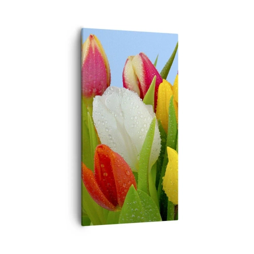 Tablou pe pânză - Un curcubeu floral în picături de rouă - 55x100 cm