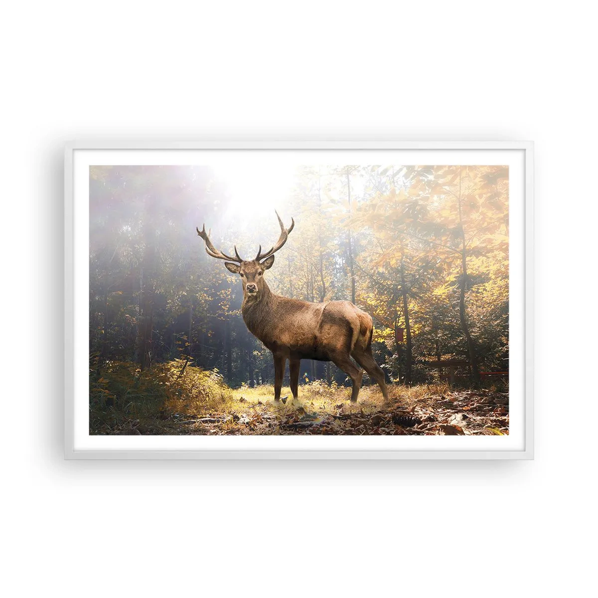 Poster în ramă albă - Măreție calmă - 91x61 cm