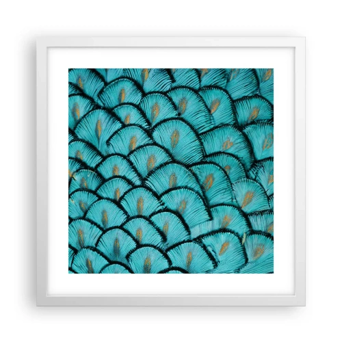 Poster în ramă albă - Marea gală a penelor - 40x40 cm