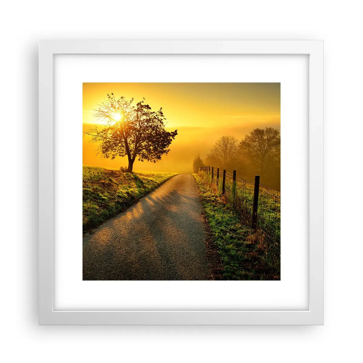 Poster în ramă albă - O după-amiază de miel - 30x30 cm