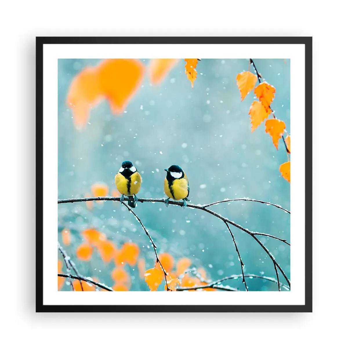 Poster în ramă neagră - Bârfele păsărilor - 60x60 cm