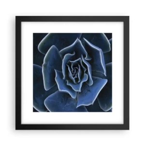 Poster în ramă neagră - Floare de deșert - 30x30 cm
