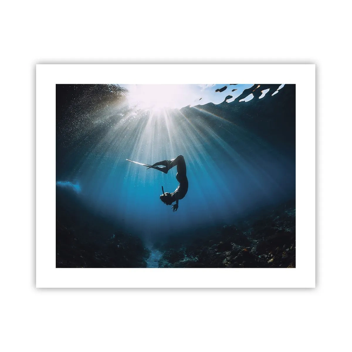Poster - Dans subacvatic - 50x40 cm