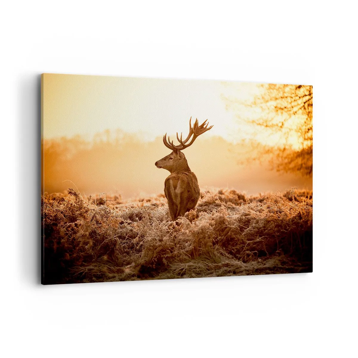 Tablou pe pânză - Stăpânul conacului - 100x70 cm