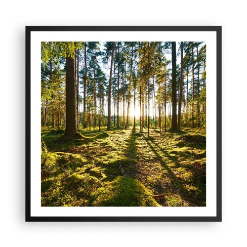 Poster în ramă neagră - Pădurea misterioasă - 60x60 cm