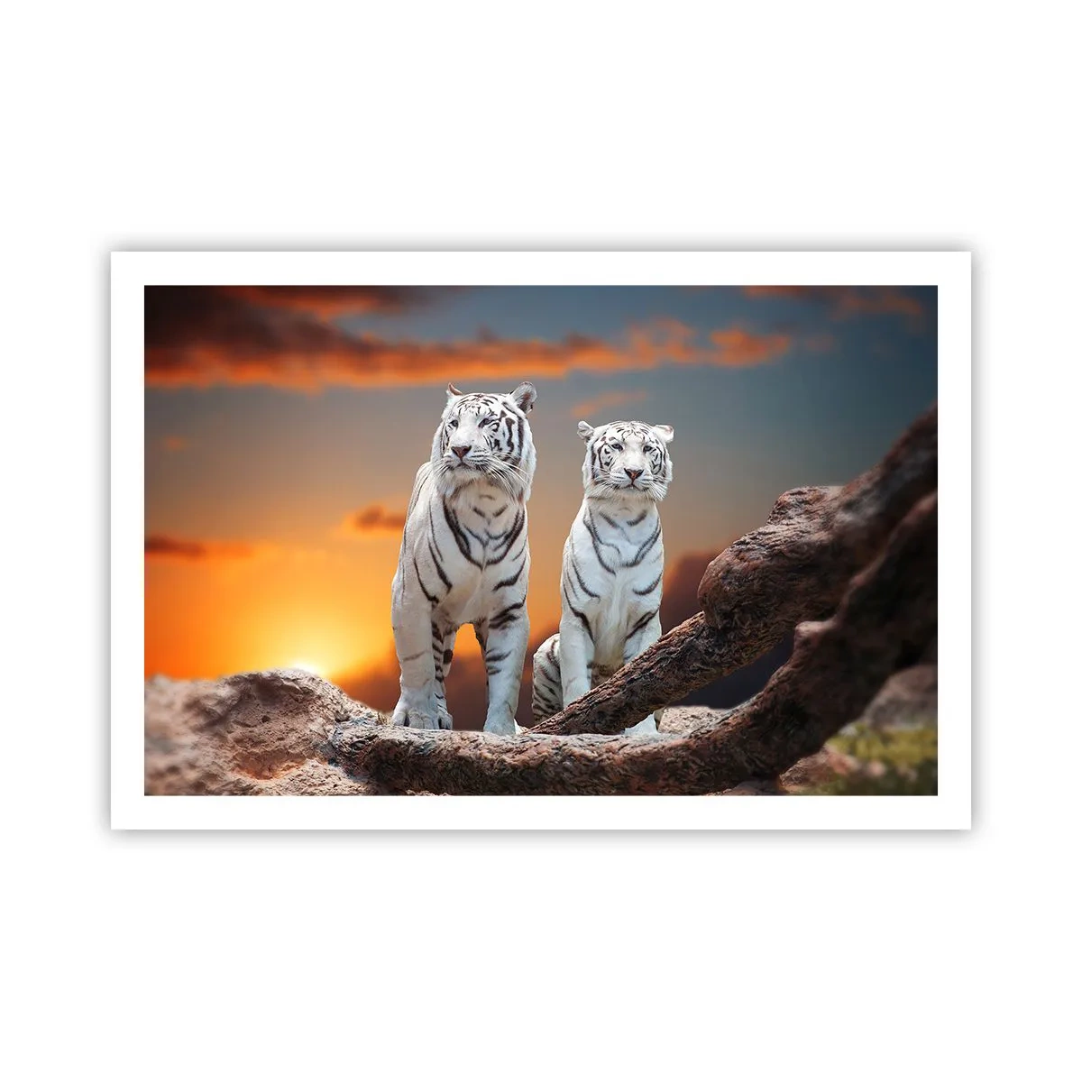 Poster - La fel ca în Narnia - 91x61 cm