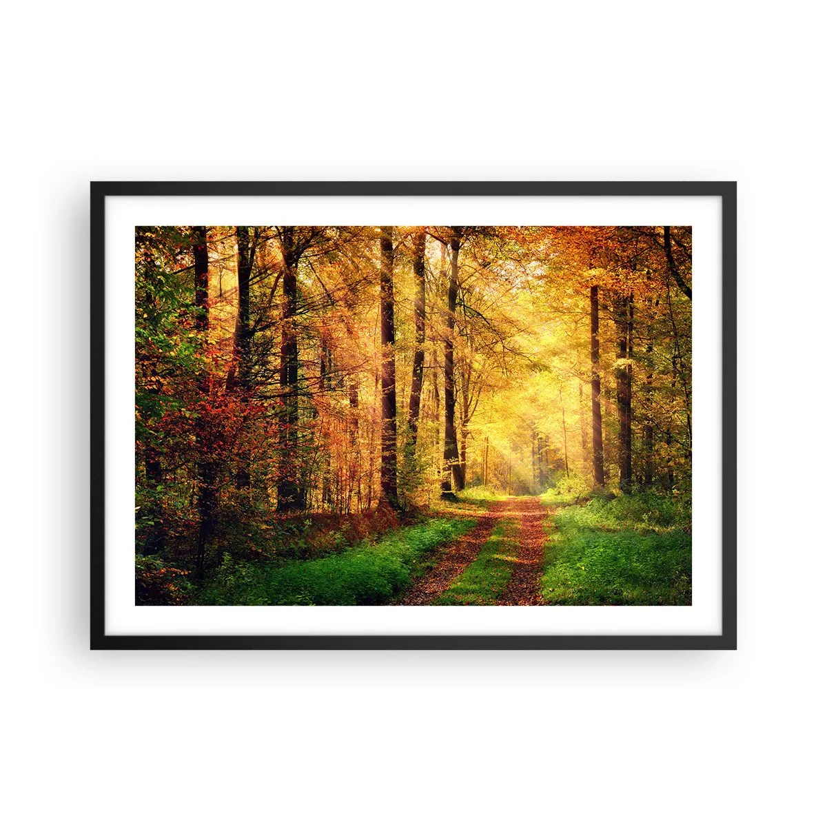 Poster în ramă neagră - Tăcere de aur de pădure - 70x50 cm