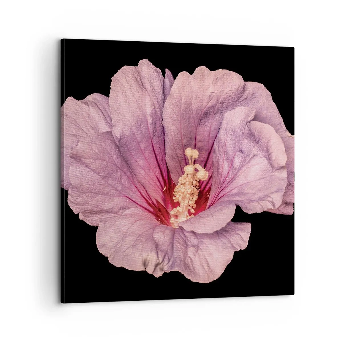 Tablou pe pânză - Direct la inimă - 60x60 cm