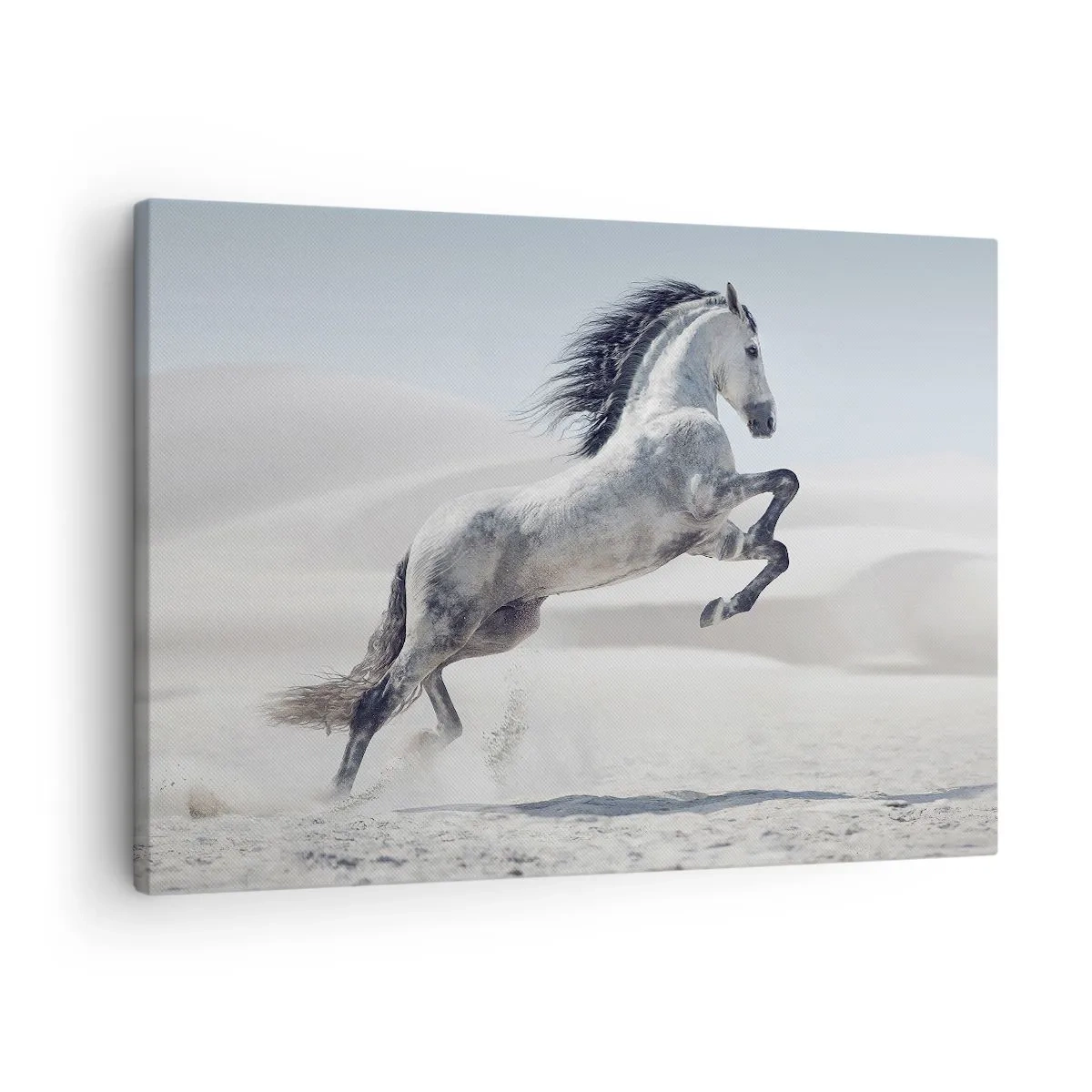 Tablou pe pânză Canvas - Un cal alb galopând pe fundalul dunelor deșertice - 70x50cm - Prinț arab - Decorațiune modernă pentru perete pentru living și dormitor ARTTOR