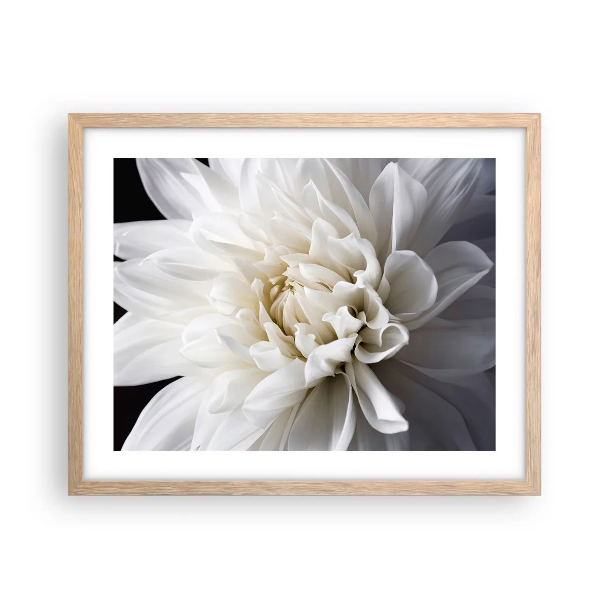 Poster în ramă de stejar deschis - Dimineața miresei - 50x40 cm