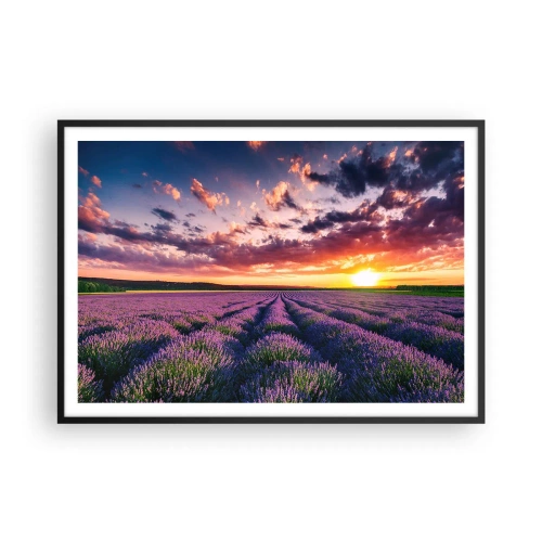 Poster în ramă neagră - Lumea lavandei - 100x70 cm