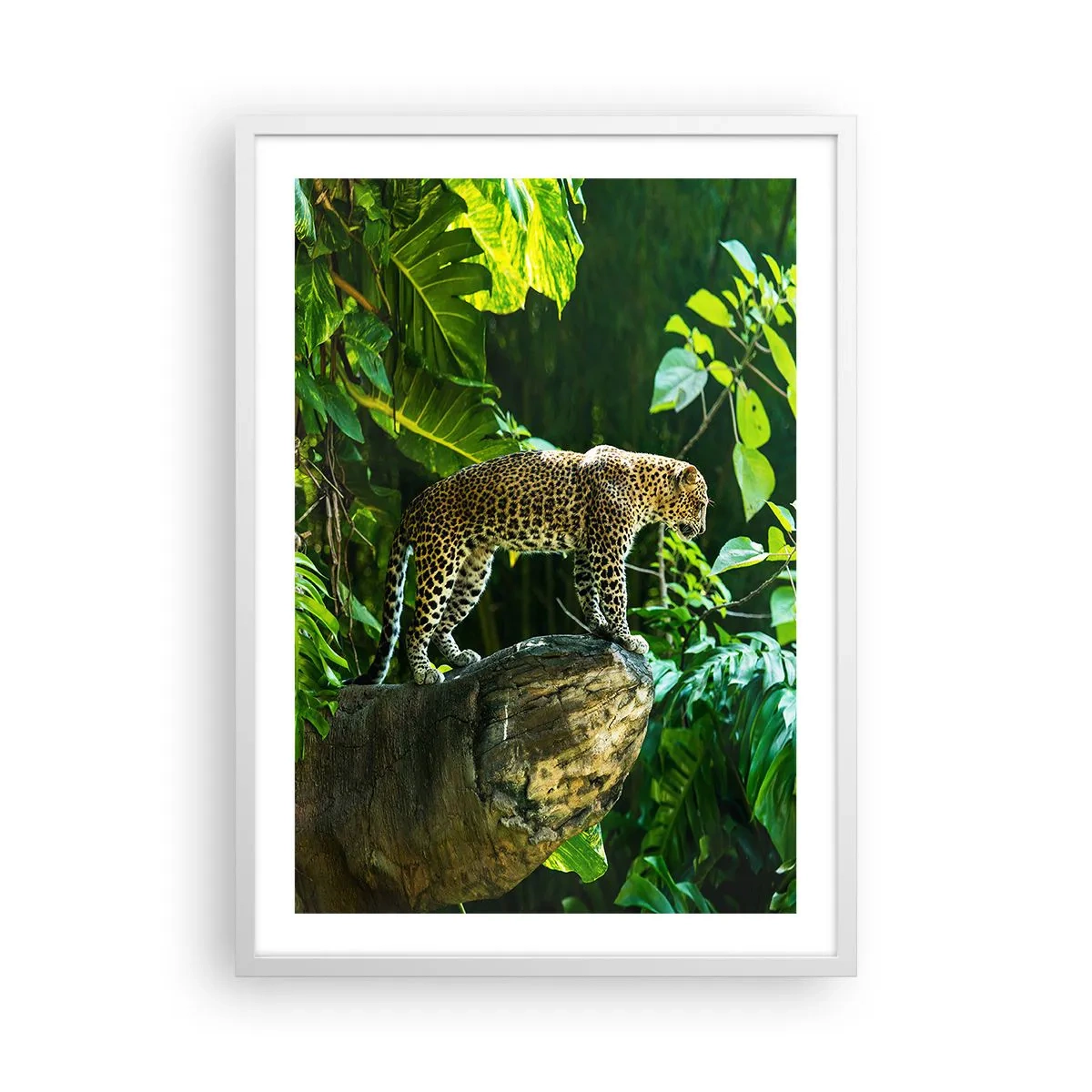 Poster în ramă albă - La vânătoare? - 50x70 cm