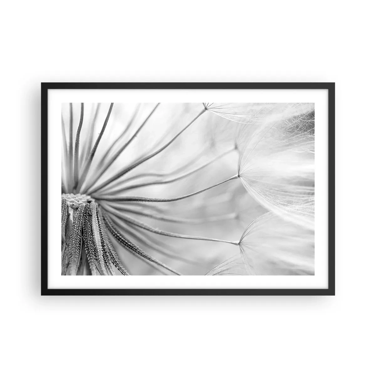 Poster în ramă neagră - Suflarea zmeilor - 70x50 cm