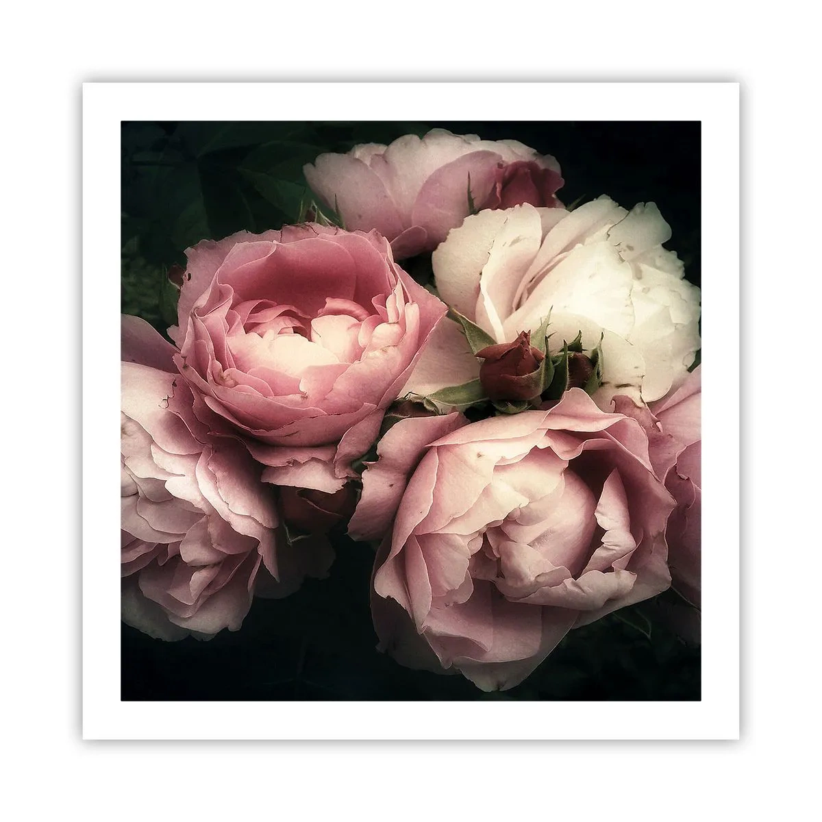 Poster - Farmecul belle epoque - 60x60 cm