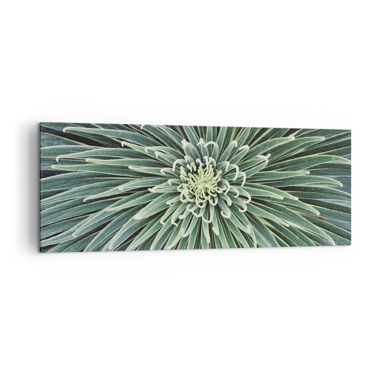 Tablou pe pânză - Nașterea unei stele - 140x50 cm