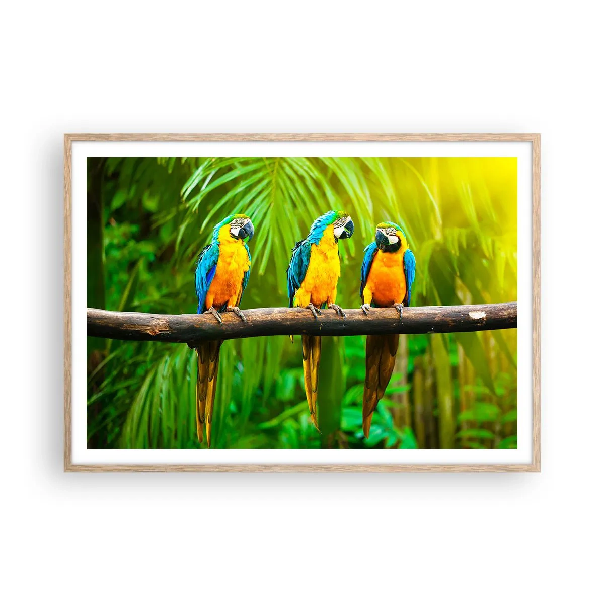 Poster în ramă de stejar deschis - Și ai auzit că ea...? - 100x70 cm