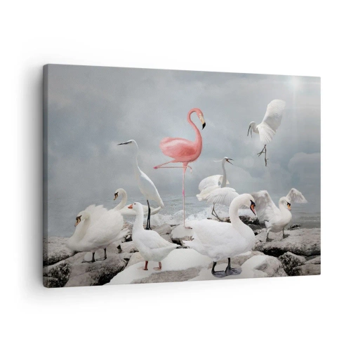 Tablou pe pânză Canvas - Un flamingo roz printre lebede albe pe fundalul unui lac - 70x50cm - De unde am venit? - Decorațiune modernă pentru perete pentru living și dormitor ARTTOR