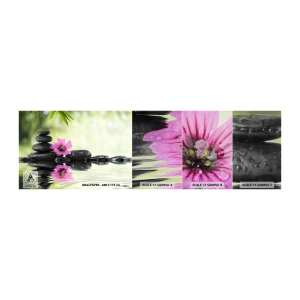 Mostră tapet Premium Canvas - Timp pentru suflet - Floare, Cultură, Bambus - 100x30 cm