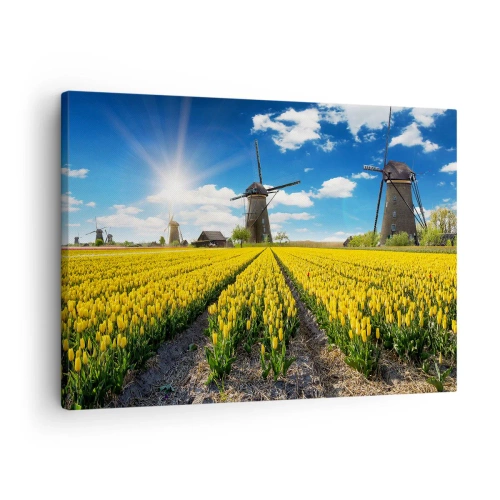 Tablou pe pânză Canvas - Un câmp de lalele galbene cu mori de vânt la orizont - 70x50cm - Olandez pe cât se poate - Decorațiune modernă pentru perete pentru living și dormitor ARTTOR