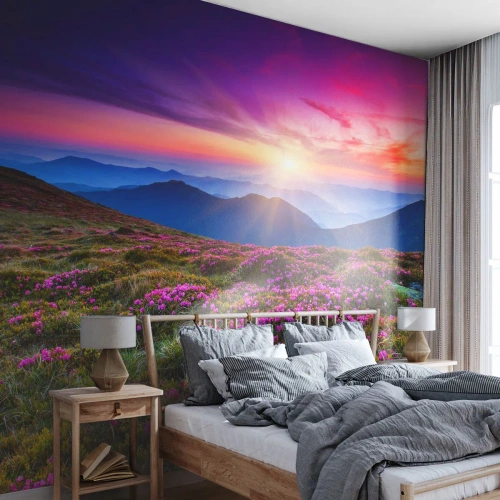 Tapet Premium Canvas - Ierburile proaspete miroseau puternic - Peisaj, Munţi, Flori - 350x256 cm