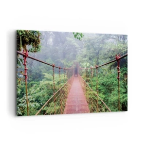 Tablou pe pânză - Suspendat deasupra coroanelor arborilor - 120x80 cm