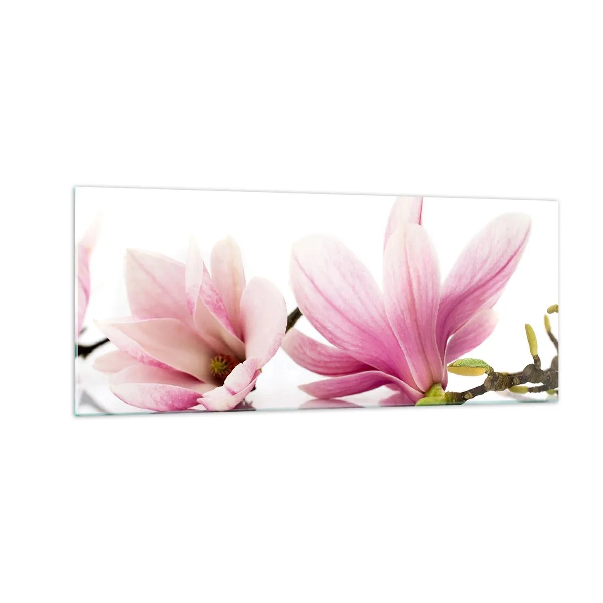 Tablou pe sticlă - Delicate ca o adiere de primăvară - 100x40 cm