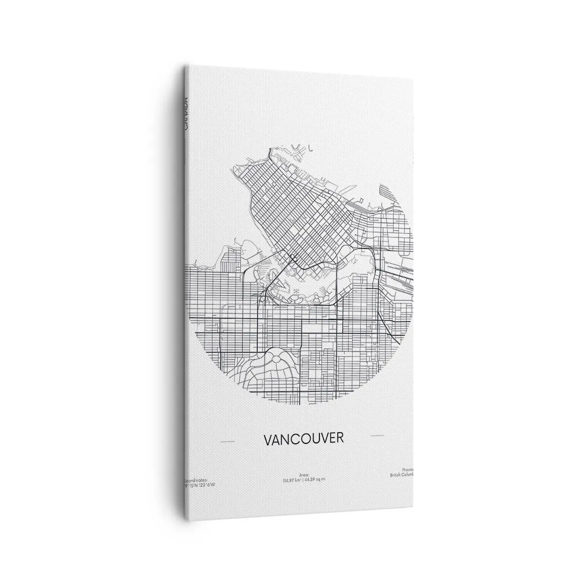 Tablou pe pânză - Anatomia Vacouverului - 45x80 cm