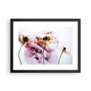 Poster în ramă neagră - Corp de flori transparente - 40x30 cm