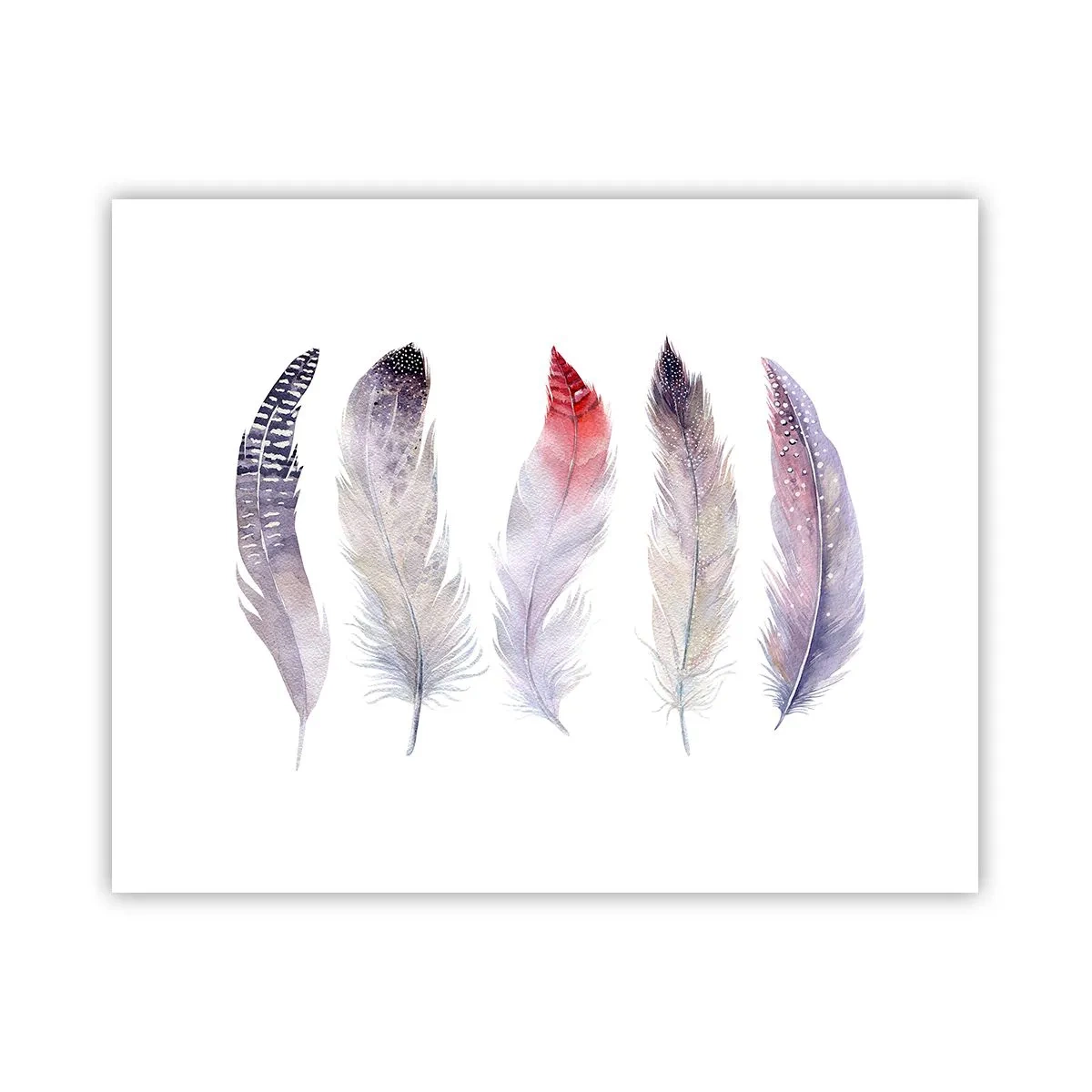 Poster - Delicate ca o ceață multicoloră - 50x40 cm