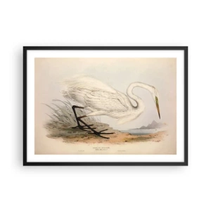Poster în ramă neagră - Doamna în stufărișuri - 70x50 cm