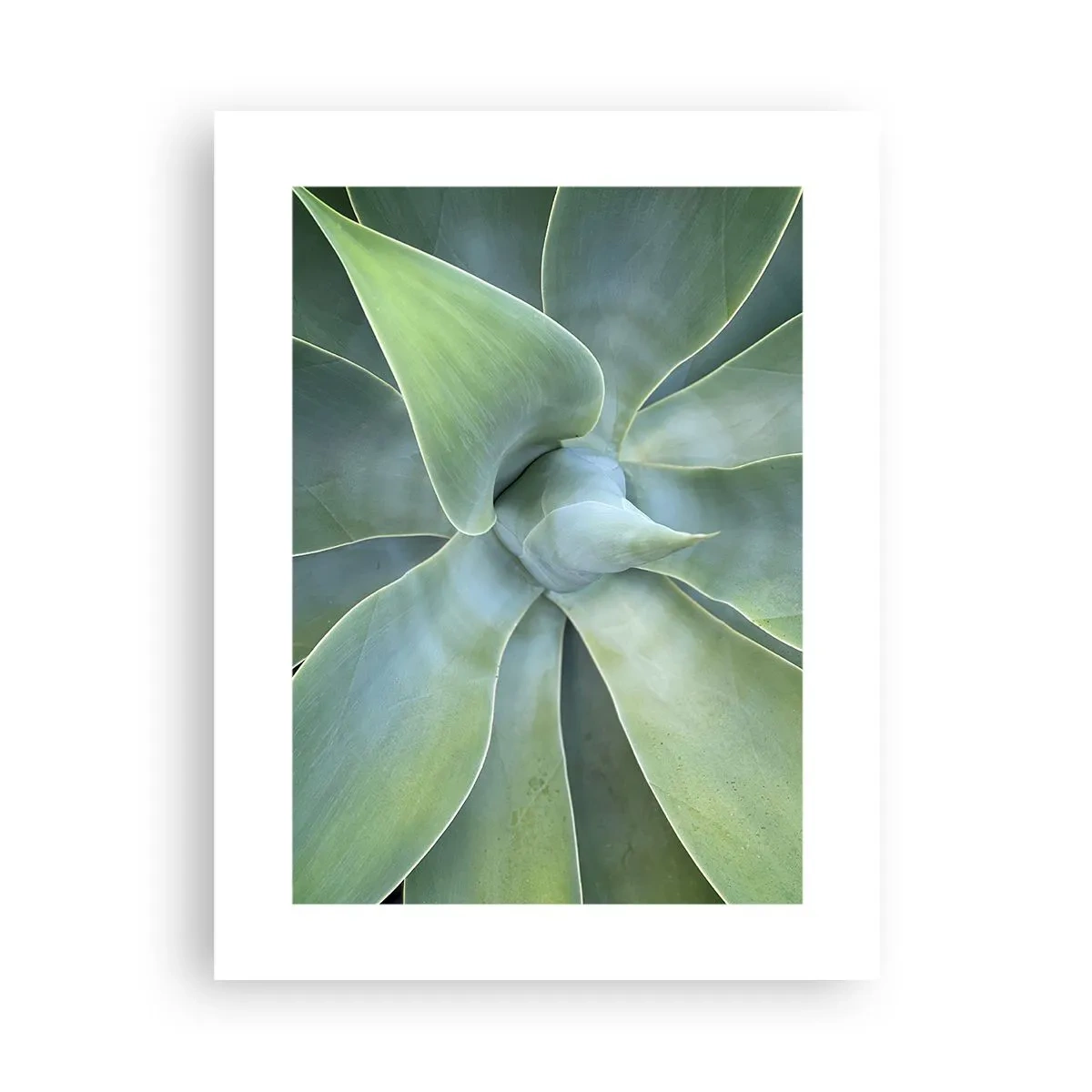 Poster - Nașterea verdeții - 30x40 cm