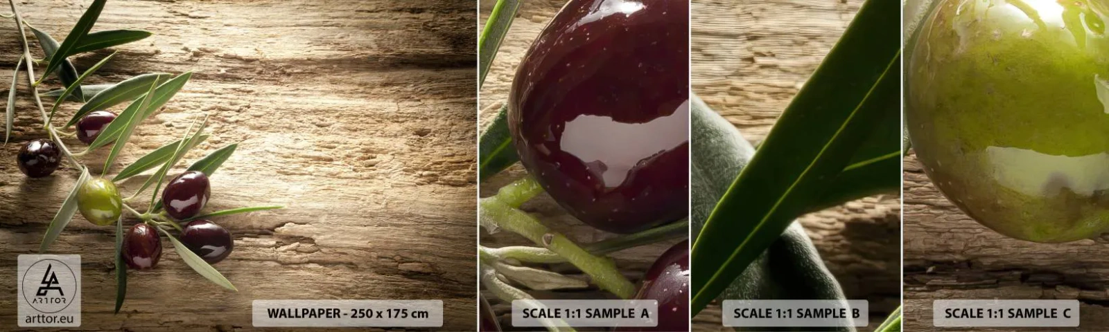 Mostră de Tapet Standard Eco - Direct din natură - Ramura de maslin, Natură, Măsline - 100x30 cm