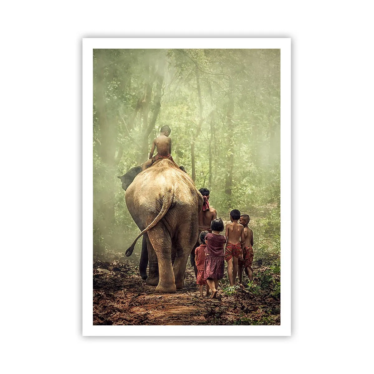 Poster - Noua Carte a Junglei - 70x100 cm