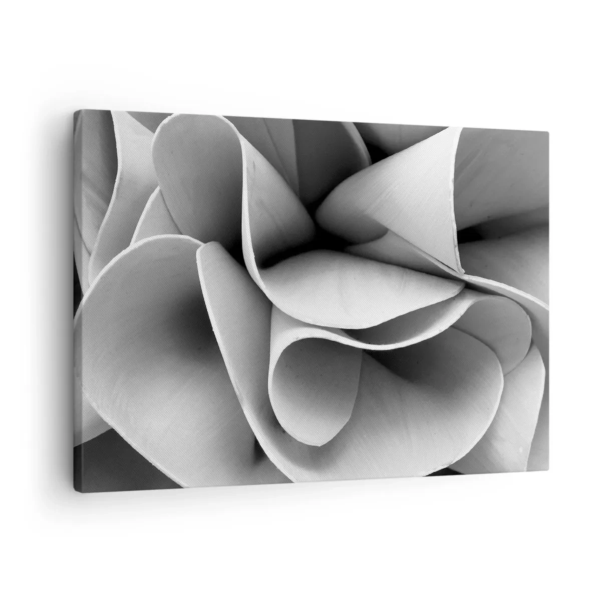 Tablou pe pânză Canvas - Detalii alb-negru ale formelor abstracte - 70x50cm - Se întâmplă în spațiu - Decorațiune modernă pentru perete pentru living și dormitor ARTTOR