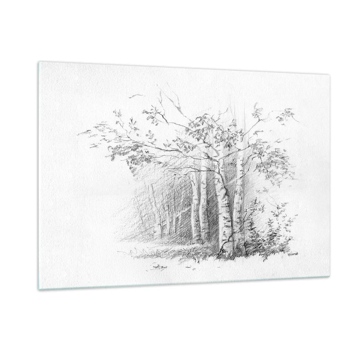 Tablou pe sticlă - Lumina pădurii de mesteceni - 120x80 cm