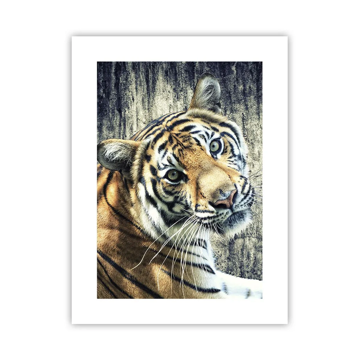 Poster - Portret în fluxuri de lumină - 30x40 cm