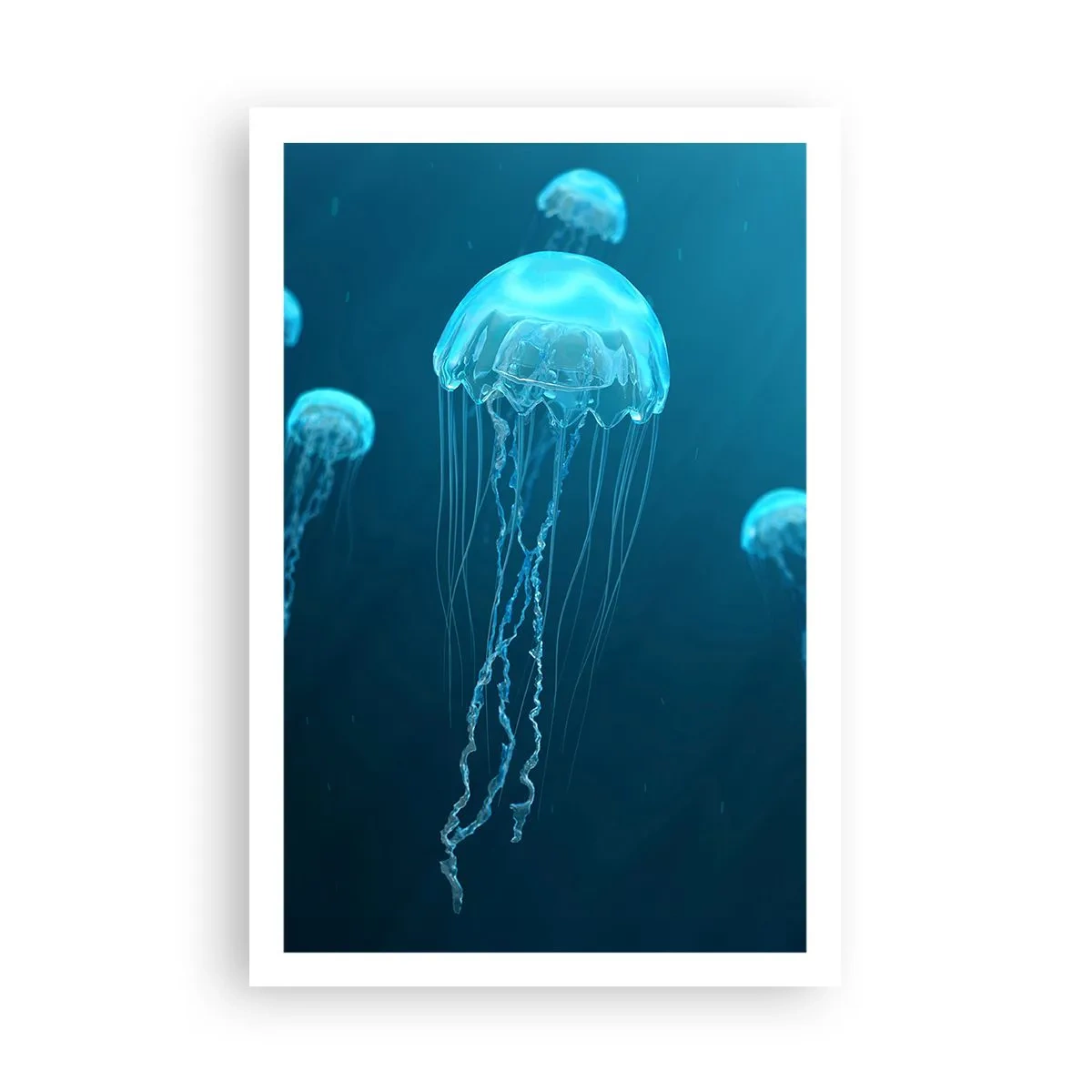 Poster - Dansul oceanic - 61x91 cm