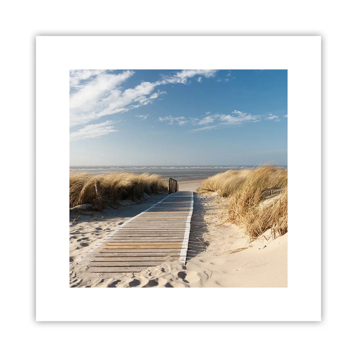 Poster - În spatele dunei, în zumzetul ierbii - 30x30 cm