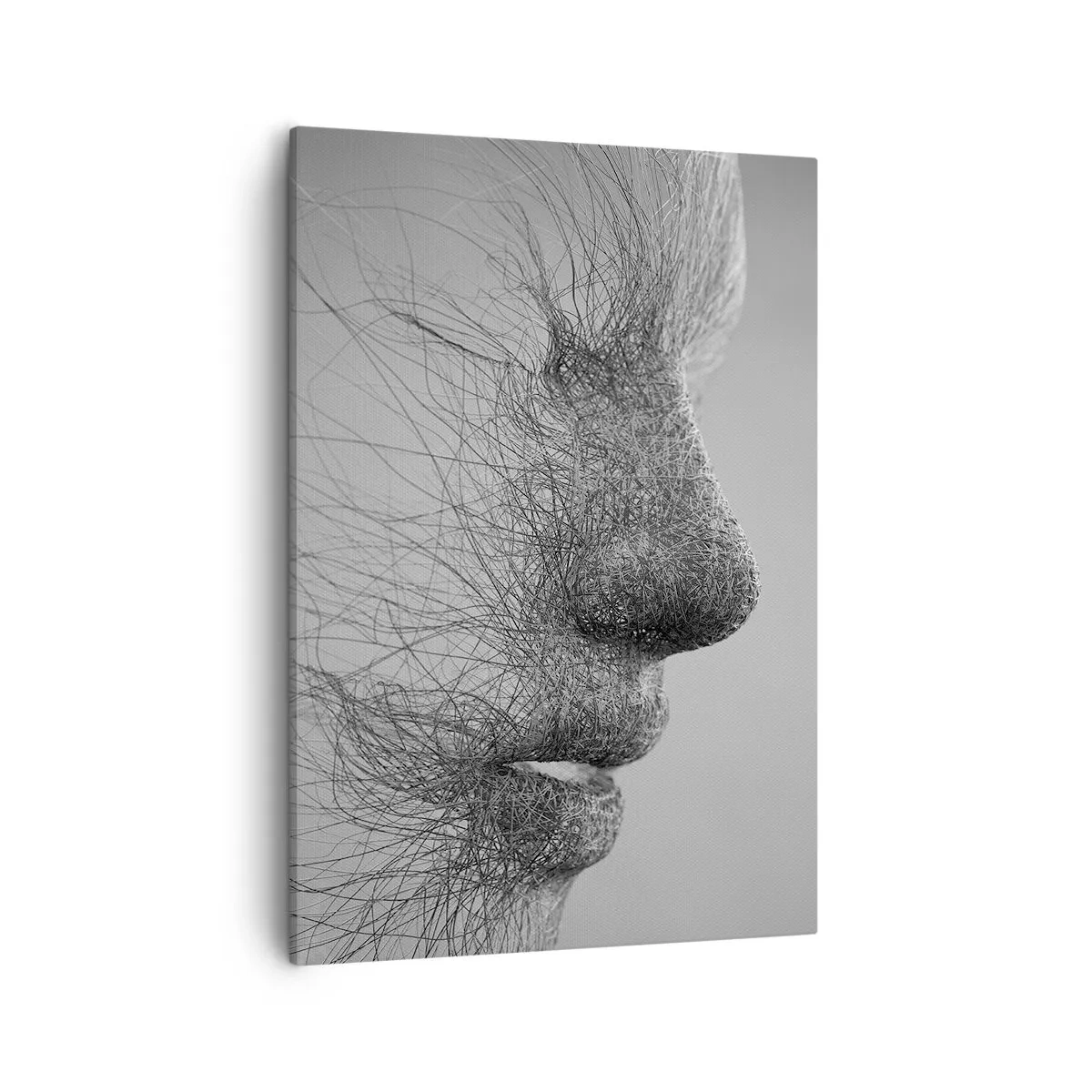 Tablou pe pânză - Spiritul vântului - 50x70 cm