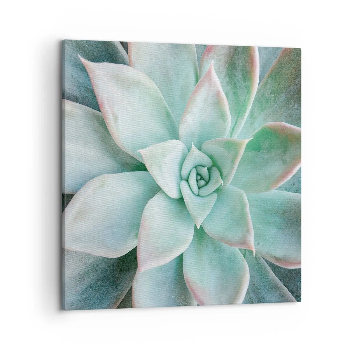 Tablou pe pânză - Inima deșertului - 50x50 cm