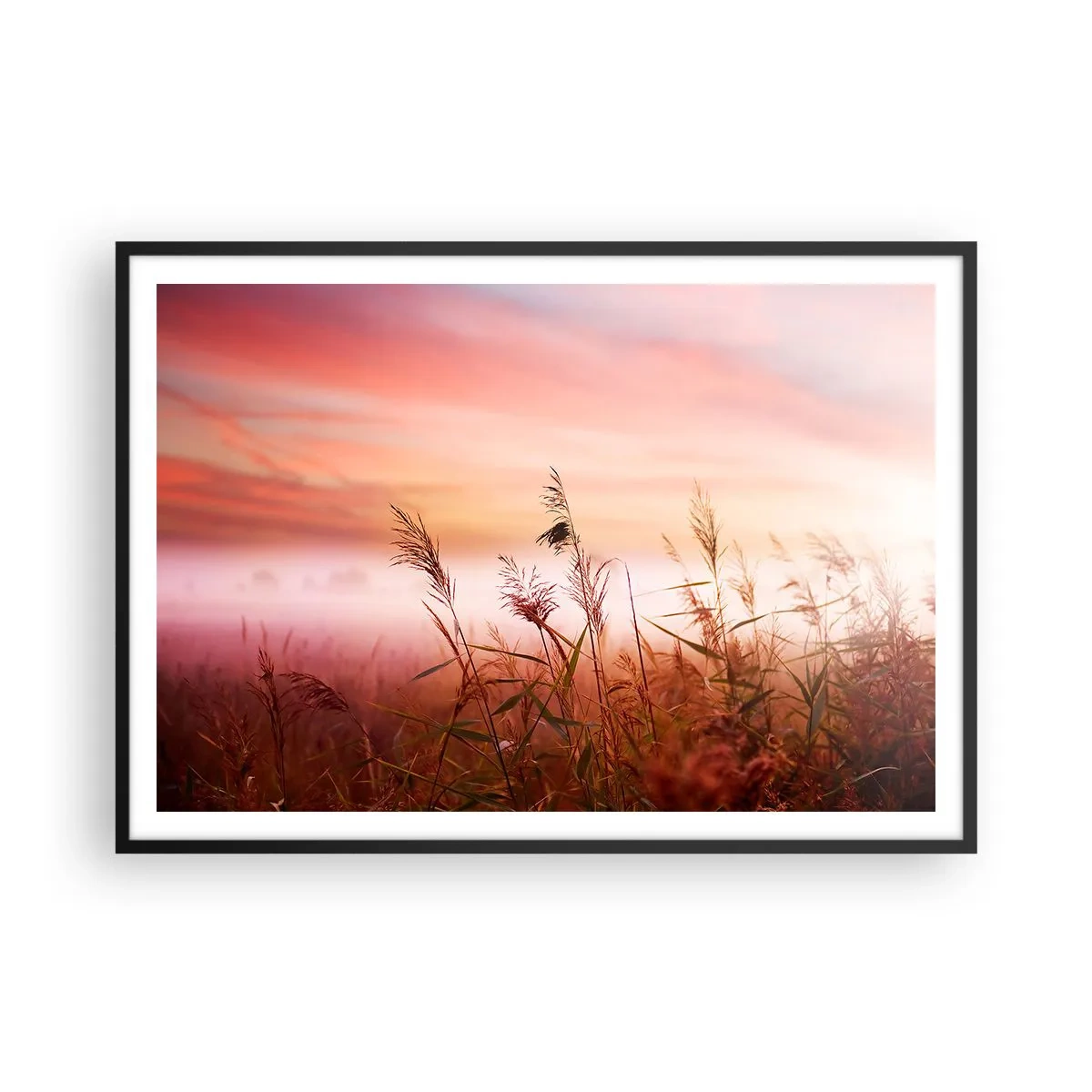 Poster în ramă neagră - Zmeuri, suflante, vânt - 100x70 cm