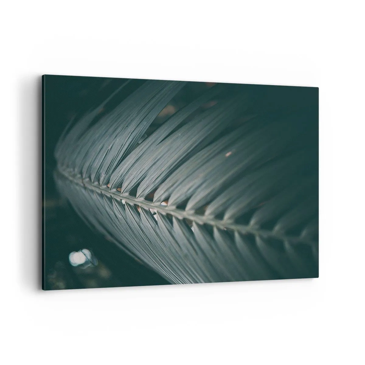 Tablou pe pânză - Precizia naturii - 120x80 cm