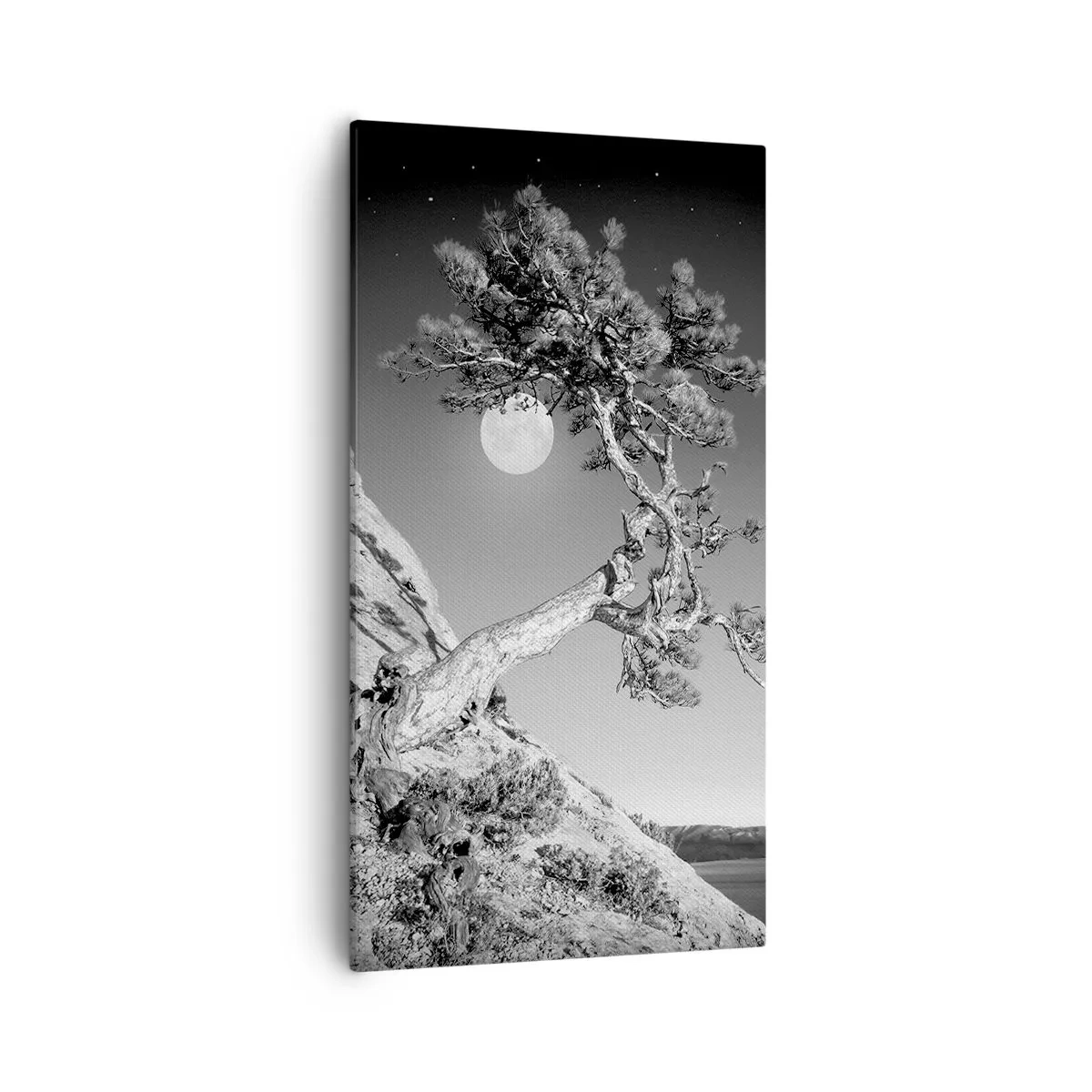 Tablou pe pânză - Războinicul victorios - 55x100 cm