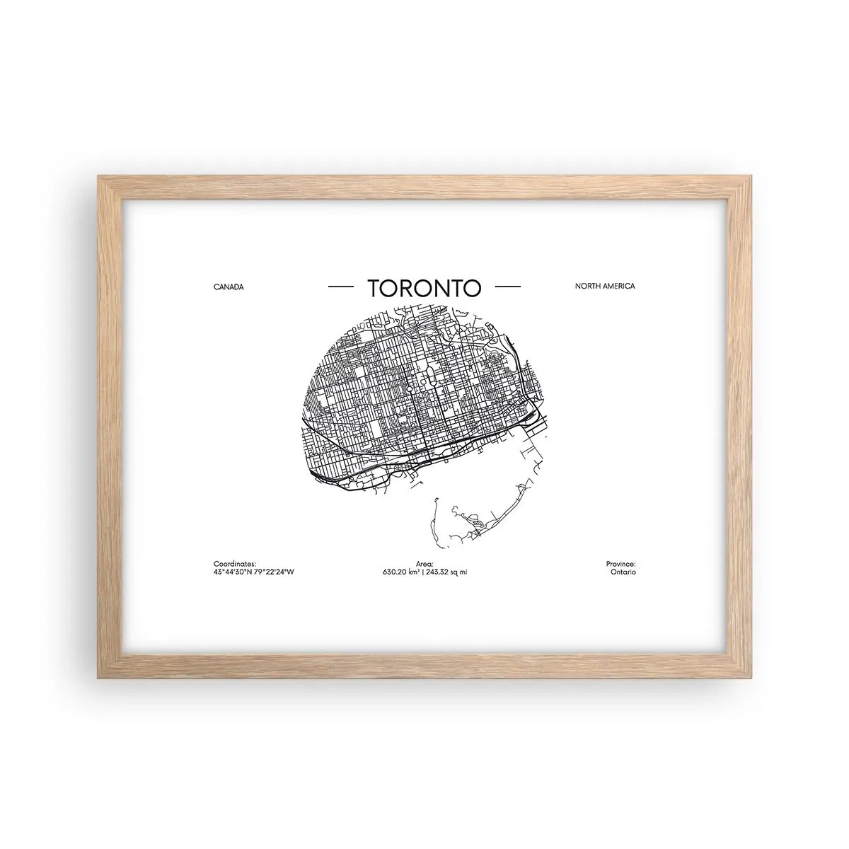 Poster în ramă de stejar deschis - Anatomia Toronto - 40x30 cm