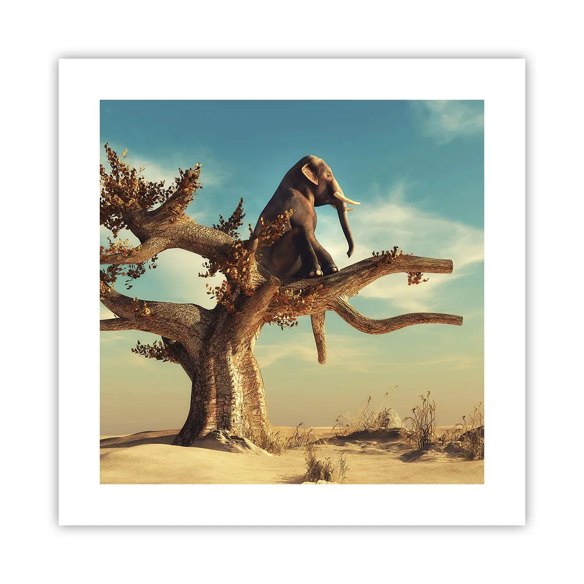 Poster - Un nou punct de vedere - 40x40 cm