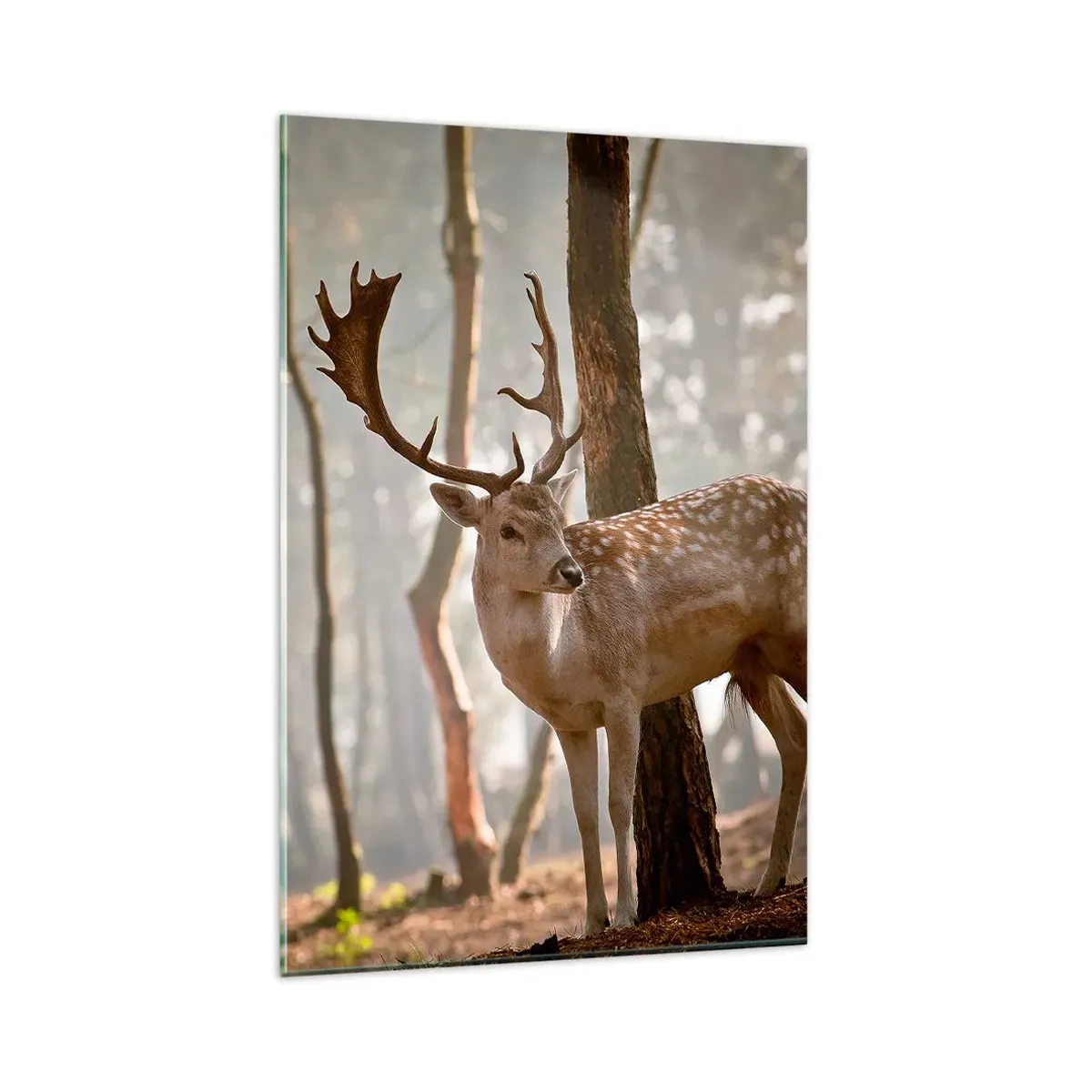 Tablou pe sticlă - Lumina tinereții - 80x120 cm