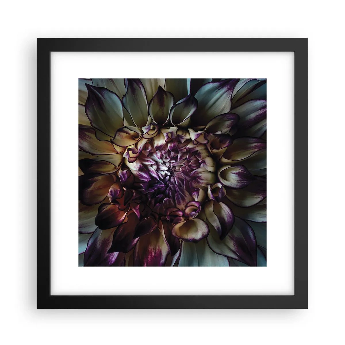 Poster în ramă neagră - Înflorirea tinereții - 30x30 cm