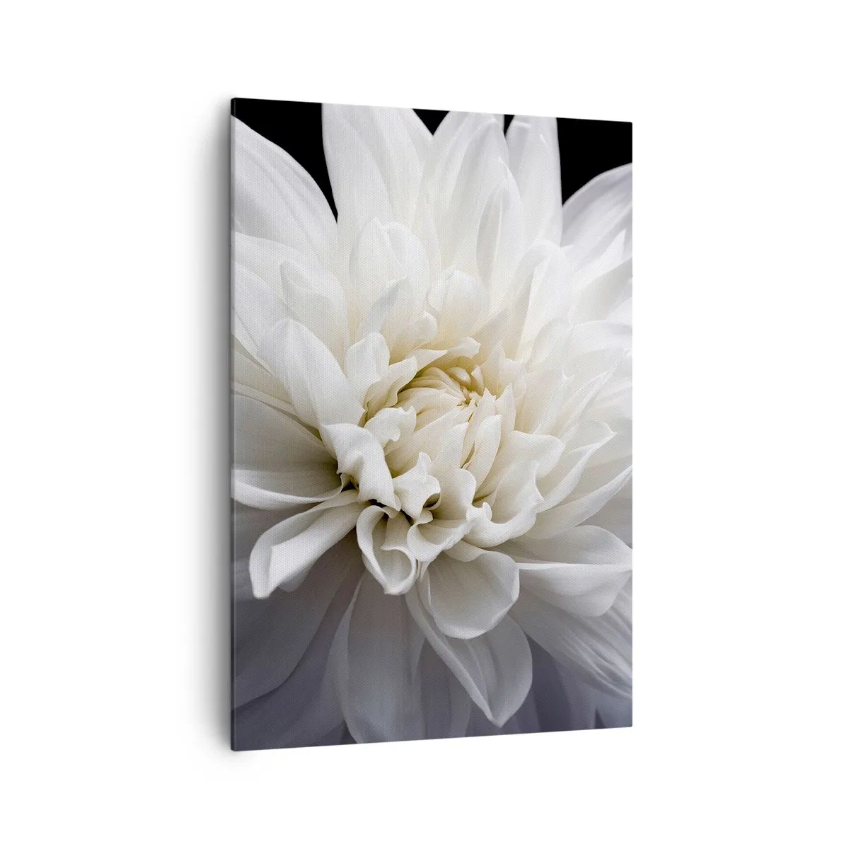 Tablou pe pânză - Dimineața miresei - 70x100 cm