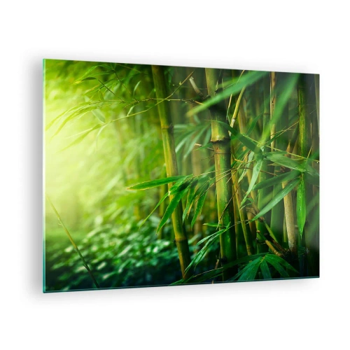 Tablou pe sticlă - Pădure verde de bambus la soare - 70x50cm - Cunoașteți verdeața în sine - Decorațiune modernă pentru perete pentru living și dormitor ARTTOR